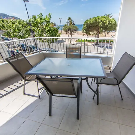 Apartamento Palmeras 1.1 *